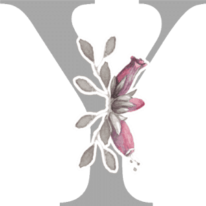 Letter Y Monogram | Customize Online | Instant Download