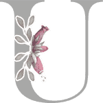 Floral Initial U with 3 Flowers