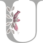 Floral Initial U with 3 Flowers