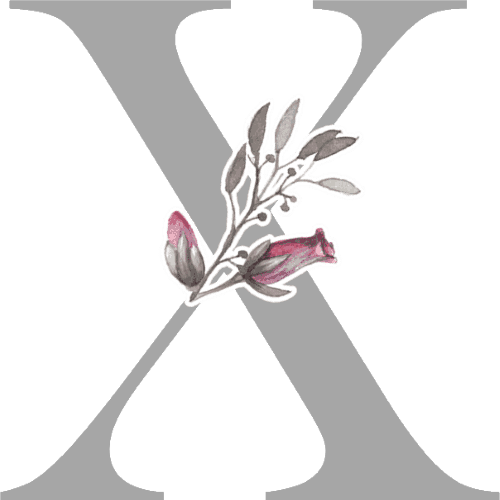Gray Letters With 3 Small Flowers - X